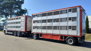 RENAULT Magnum 500 DXI, EURO 5, 3 levels, Lifitng roof, Livestock , Anim kamion za prijevoz stoke