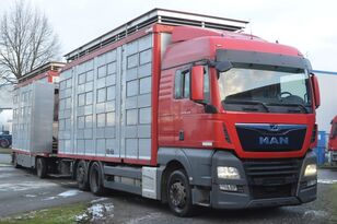 MAN TGX 26.420 Euro 6/ AT 18/73 kamion za prijevoz stoke + prikolica za prijevoz stoke
